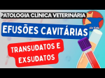 Maria Vitória.